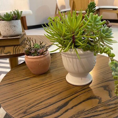 Apartamento Em Santa Teresa Santa Teresa  Eksteriør bilde