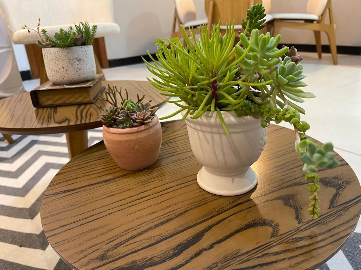 Apartamento Em Santa Teresa Santa Teresa  Eksteriør bilde